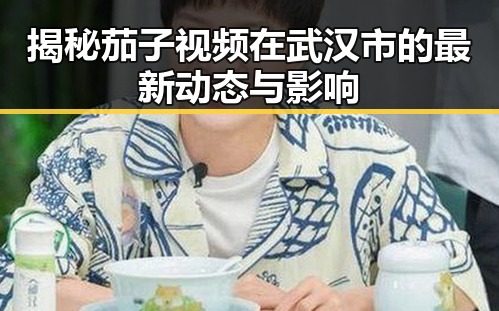 揭秘茄子视频在武汉市的最新动态与影响