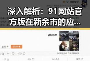 深入解析：91网站官方版在新余市的应用与发展