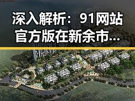 深入解析:91网站官方版在新余市的应用与发展