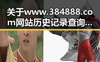 关于www.384888.com网站历史记录查询的详细介绍