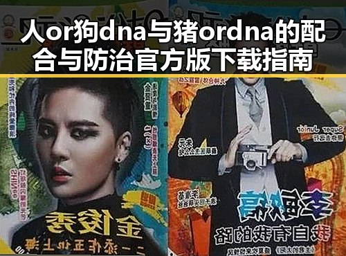人or狗dna与猪ordna的配合与防治官方版下载指南