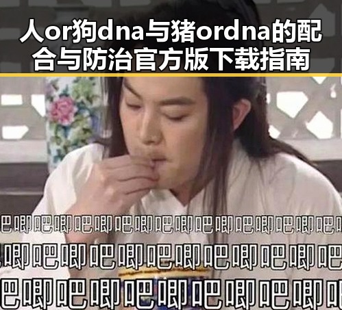 人or狗dna与猪ordna的配合与防治官方版下载指南