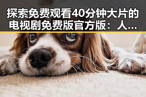 探索 免费观看40分钟大片的电视剧免费版官方版:人物背后的变化与关系