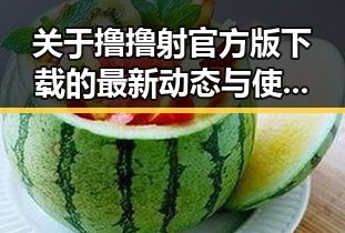 关于撸撸射官方版下载的最新动态与使用指南