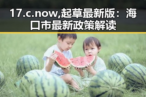 17.c.now,起草最新版:海口市最新政策解读