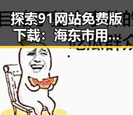 探索91网站免费版下载:海东市用户的最佳选择