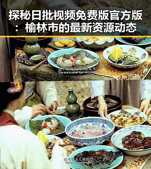 探秘日批视频免费版官方版:榆林市的最新资源动态