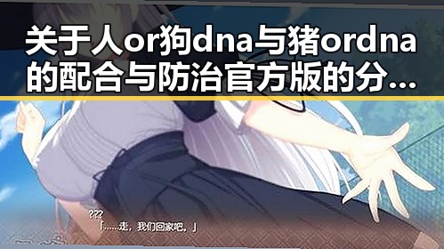 关于人or狗dna与猪ordna的配合与防治官方版的分析与应用