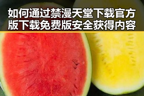 如何通过禁漫天堂下载官方版下载免费版安全获得内容