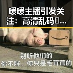暖暖主播引发关注:高清乱码🔞❌♋毛片官方版成为热点话题