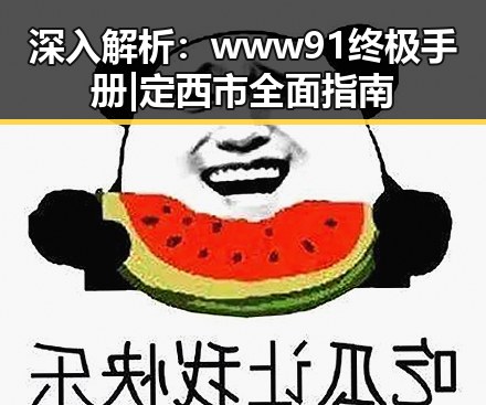 深入解析:www91终极手册 | 定西市全面指南