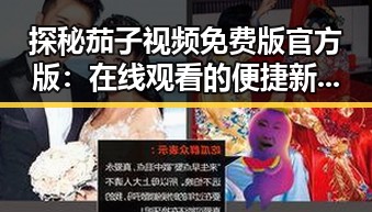 探秘茄子视频免费版官方版:在线观看的便捷新选择