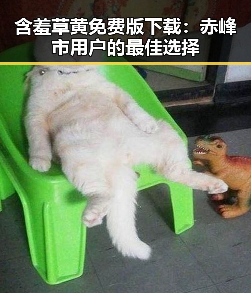 含羞草黄免费版下载:赤峰市用户的最佳选择
