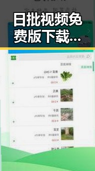 日批视频免费版下载:满足娱乐圈粉丝的最新需求