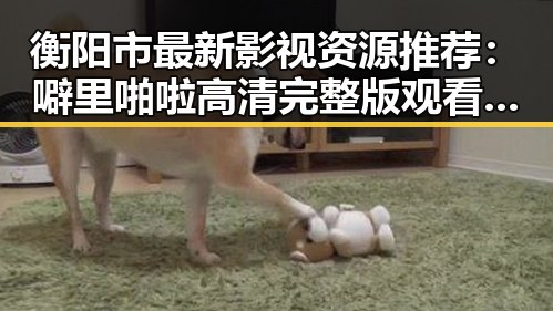 衡阳市最新影视资源推荐：噼里啪啦高清完整版观看官方版解析