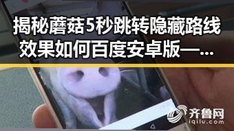 揭秘蘑菇5秒跳转隐藏路线效果如何百度安卓版——崇左市用户实测分析