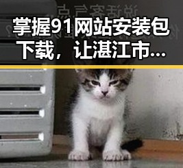 掌握91网站安装包下载,让湛江市网络更便捷