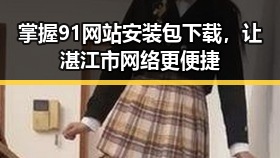 掌握91网站安装包下载,让湛江市网络更便捷