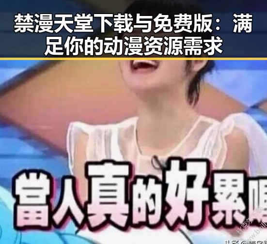 禁漫天堂下载与免费版:满足你的动漫资源需求