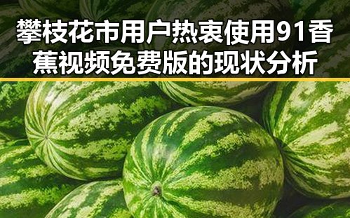 攀枝花市用户热衷使用91香蕉视频免费版的现状分析