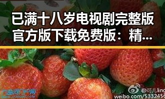 已满十八岁电视剧完整版官方版下载免费版:精彩无限的观看体验