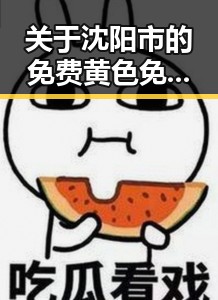 关于沈阳市的免费黄色免费版：现状与争议