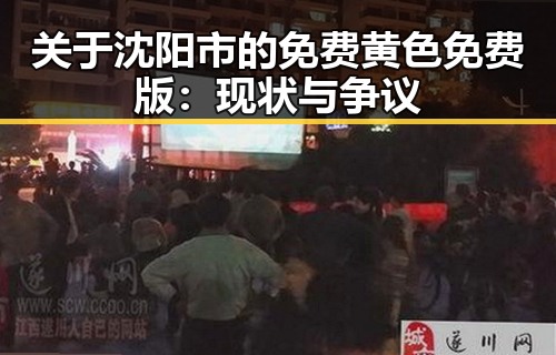 关于沈阳市的免费黄色免费版:现状与争议