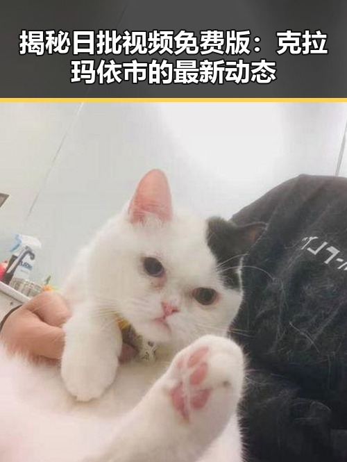 揭秘日批视频免费版：克拉玛依市的最新动态