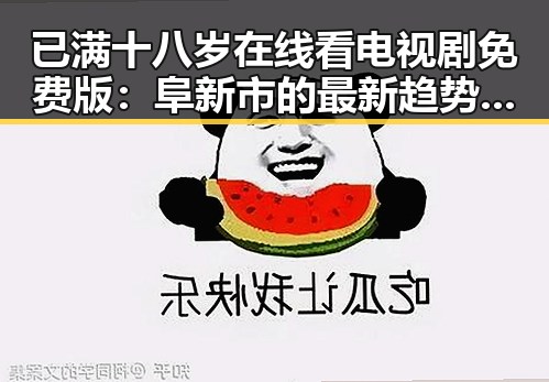 已满十八岁在线看电视剧免费版：阜新市的最新趋势与注意事项