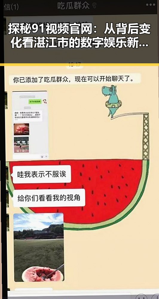 探秘91视频官网:从背后变化看湛江市的数字娱乐新趋势