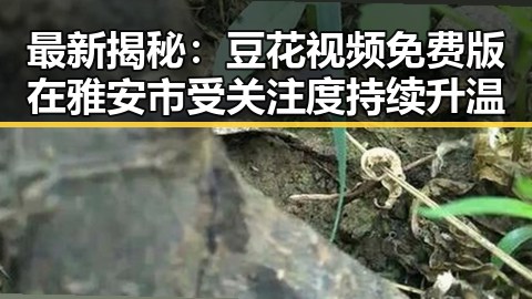 最新揭秘：豆花视频免费版在雅安市受关注度持续升温