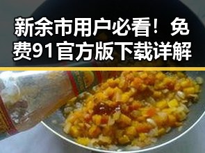 新余市用户必看!免费91官方版下载详解