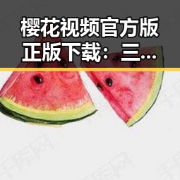 樱花视频官方版正版下载：三明市用户的必备选择