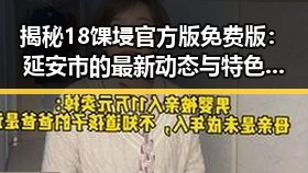 揭秘18馃埐官方版免费版:延安市的最新动态与特色介绍