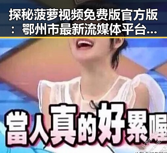 探秘菠萝视频免费版官方版：鄂州市最新流媒体平台介绍