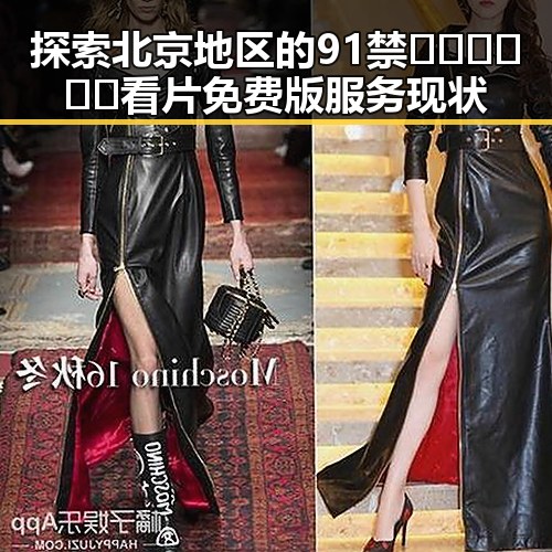 探索北京地区的91禁🍆🍑🔞❌❌❌看片免费版服务现状