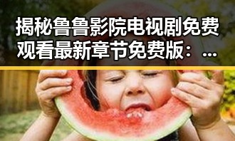 揭秘鲁鲁影院电视剧免费观看最新章节免费版:在线观看指南与优缺点分析