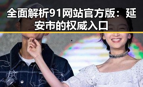 全面解析91网站官方版:延安市的权威入口
