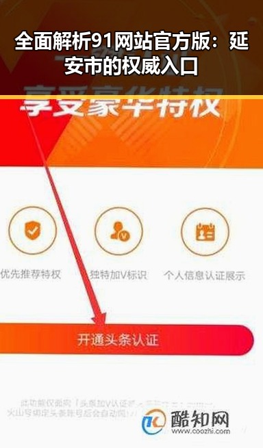 全面解析91网站官方版:延安市的权威入口
