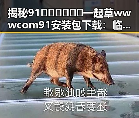 揭秘91🍆🍑🔞❌❌❌一起草wwwcom91安装包下载:临汾市玩家的轻松指南