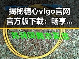 揭秘糖心vlgo官网官方版下载:畅享全新体验的必备指南