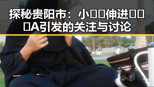 探秘贵阳市:小🐔🐔伸进🈲🔞🔞A引发的关注与讨论