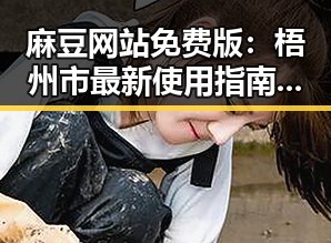 麻豆网站免费版:梧州市最新使用指南与现状分析