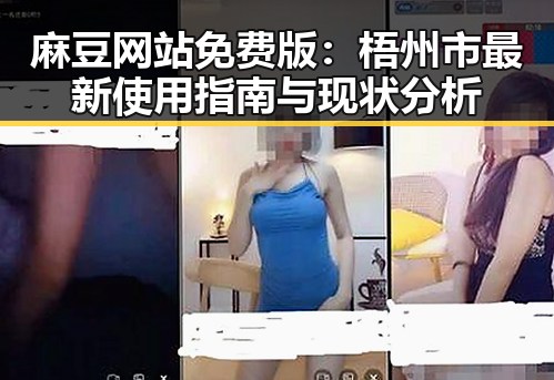 麻豆网站免费版:梧州市最新使用指南与现状分析