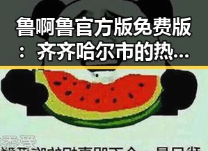 鲁啊鲁官方版免费版：齐齐哈尔市的热门选择