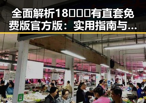 全面解析18❌❌❌有直套免费版官方版:实用指南与最新动态