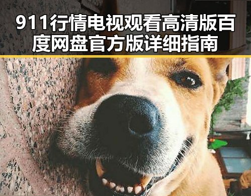 911行情电视观看高清版百度网盘官方版详细指南