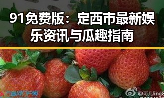 91免费版:定西市最新娱乐资讯与瓜趣指南