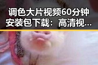 调色大片视频60分钟安装包下载:高清视频制作新体验