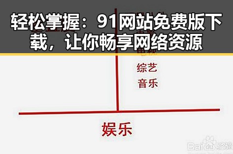 轻松掌握：91网站免费版下载，让你畅享网络资源